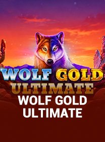 Cara Bermain Wolf Gold Ultimate untuk Pemula